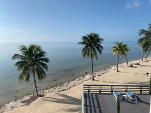 伊斯拉莫拉达Caloosa Cove Resort - With Full Kitchens的棕榈树和椅子与水面的海滩