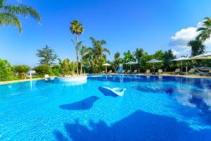 梵蒂冈角卡拉布里亚拉布索拉酒店的游泳池,水中有两个海豚
