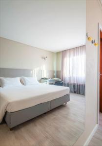 巴拉奈里奥-坎布里乌梅洛酒店的一间卧室配有一张大床和一张书桌