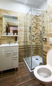 克日沃克拉特Hotel Sýkora的带淋浴、卫生间和盥洗盆的浴室