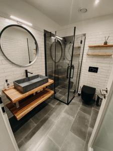 布尔诺附近斯拉夫科夫Simply rooms的一间带水槽和淋浴的浴室
