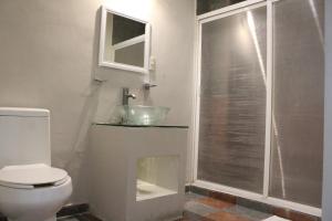 伊达尔戈州波萨里卡Hotel Florencia Poza Rica的一间带水槽、卫生间和淋浴的浴室