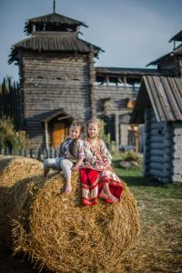 苏兹达尔HOT SPRINGS的两个孩子坐在一堆干草上