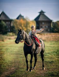 苏兹达尔HOT SPRINGS的田野里骑马的年轻女孩