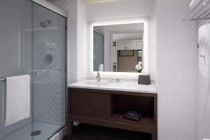 伊利Holiday Inn - Erie, an IHG Hotel的一间带水槽和镜子的浴室