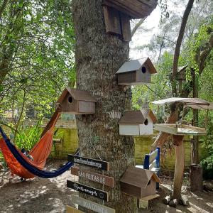 因贝Pousada Fazendinha Tatuira的树上有一棵树,上面有吊床和鸟舍