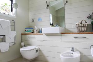 Ostend怀赫科公寓木屋酒店的一间带卫生间、水槽和镜子的浴室