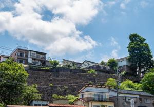 富山Yasuo-shiki Ishigaki-tei #HH5x的山顶上一群房子