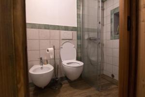雷梅斯-诺特雷-达梅Chalet Mountain Relax - CIR 0001的一间带卫生间和玻璃淋浴间的浴室