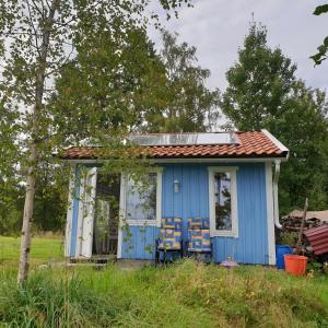 布罗斯Gäststuga i vacker natur, bastu, bubbelpool sommartid och gratis parkering, guesthouse with nice view with sauna and free parking close to Dalsjöfors and fishing的草丛中带椅子的蓝色房子