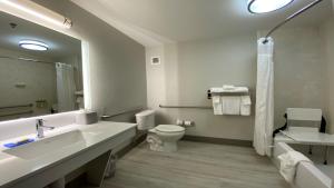 萨默塞特萨默塞特中心快捷假日酒店及套房的一间带水槽、卫生间和镜子的浴室