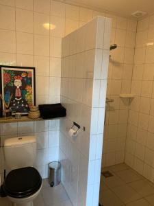 哈登贝赫City Guesthouse的一间带卫生间和淋浴的浴室
