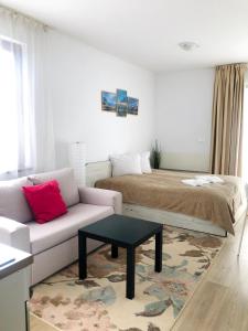 班斯科Temerso Studio-Apartment的客厅配有沙发和1张床