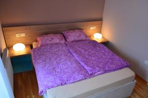 布莱德索非亚公寓酒店的一张紫色床,位于一个小房间,有两个灯