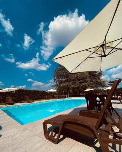 维佐拉提契诺马尔彭莎别墅酒店的游泳池旁的椅子和遮阳伞