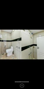 尼杜巴塞莱GREEN LINE RESIDENCY的一间带卫生间和淋浴的浴室。