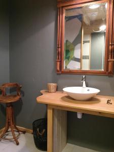 GiziaLes Billardes - le gite - Jura的浴室设有水槽和镜子,位于柜台上