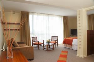 巴拉斯港Solace Hotel Puerto Varas的酒店客房设有床和客厅。