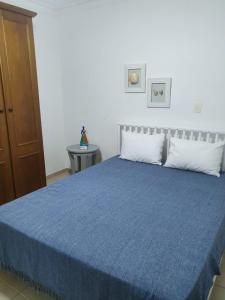 瓜鲁雅Neto & Costa的一间卧室配有一张带蓝色棉被的床