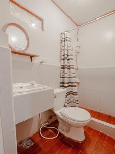 爱妮岛Telesfora Beach Cottage的一间带卫生间、水槽和镜子的浴室