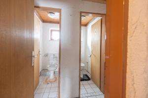 萨尔巴赫Schanzerhütte的一间带卫生间和水槽的浴室