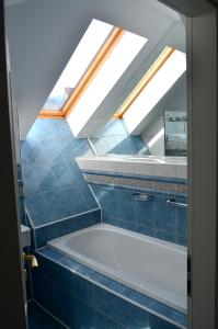 斯塔纳德瓦勒Hotel Iadolina的带浴缸的浴室和天窗