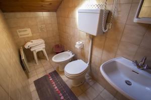 卡瓦莱塞Albergo Stella的一间带卫生间和水槽的小浴室