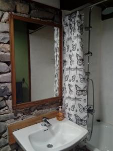 AísaCasa del Arco的浴室设有水槽、镜子和浴帘