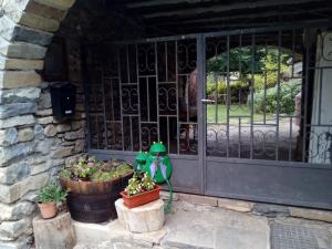 AísaCasa del Arco的两棵盆栽植物的房子的门