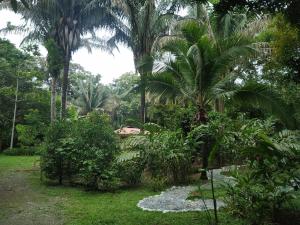 Cabo MatapaloFour Monkeys Eco Lodge - Jungle & Beach的一座种有棕榈树和石头小径的花园