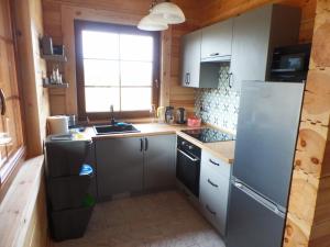 SygontkaChata Sosenka的厨房配有冰箱和水槽