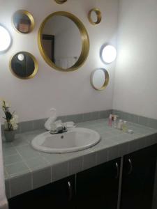 PotrerillosCasona del Valle的一间带水槽和镜子的浴室