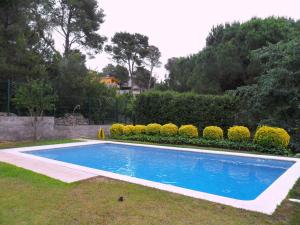莱斯卡拉Apartment Escorxador by Interhome的一座带灌木的庭院中的蓝色游泳池