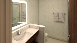 圣艾伯特Holiday Inn Express & Suites Edmonton N - St Albert, an IHG Hotel的一间带水槽、卫生间和镜子的浴室