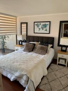 安托法加斯塔MATI´S APARTAMENT的一间卧室配有一张大床和两个枕头