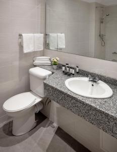 克劳道金Green Isle Hotel, Dublin的一间带卫生间和水槽的浴室