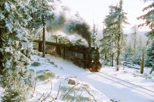 桑格豪森Pension Rosengarten的火车在雪地里沿着轨道行驶