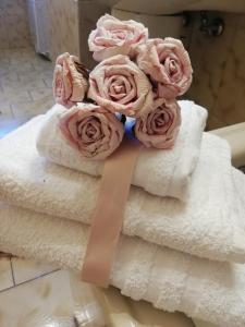 圣塔马里亚迪卡斯特Casa Francesca e Rooms的一大堆毛巾上挂着粉红色的玫瑰