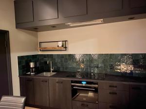 奥尔登扎尔OP10 Logeren的厨房配有水槽和炉灶 顶部烤箱