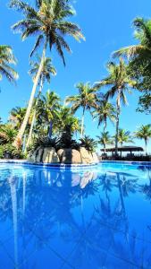 圣塞巴斯蒂安Brisa do Mar Barê Praia Hotel - Praia de BAREQUEÇABA的一座棕榈树环绕的大型游泳池