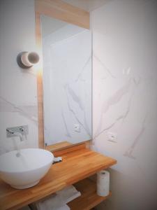 Fratta PolesineAlbergo Ristorante Palladio Osteria dal 1900的浴室设有白色水槽和镜子