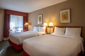 贾斯珀贾斯伯马默特旅舍的酒店客房设有两张床和窗户。