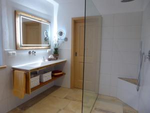 格拉绍Ferienwohnung Schreiner-Viehhausen的一间带水槽和玻璃淋浴的浴室