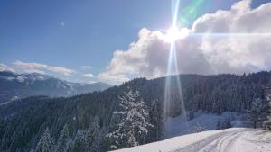 蓬高圣约翰Lindbichlhof Urlaub am Bio Bauernhof的雪覆盖的山上的太阳闪烁