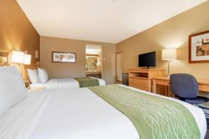 北温哥华Econo Lodge Inn & Suites - North Vancouver的相册照片