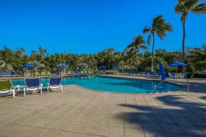 塔维涅Aqua Vista的一个带椅子和遮阳伞的游泳池以及棕榈树