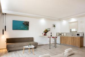 伊利索斯Terinikos Hotel Junior Suites & Apartments的带沙发的客厅和厨房