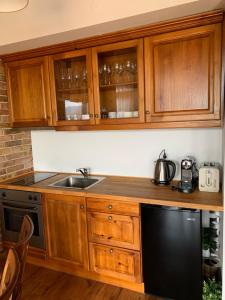 拉兹洛格Katarino Mountain House的厨房配有木制橱柜和黑色洗碗机。