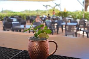 卡巴纳斯·德·塔维拉Golden Club Cabanas的坐在桌子上,用植物喝杯