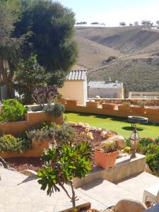 阿拉德Dead Sea - Village & SPA的庭院里种满鲜花和植物的花园